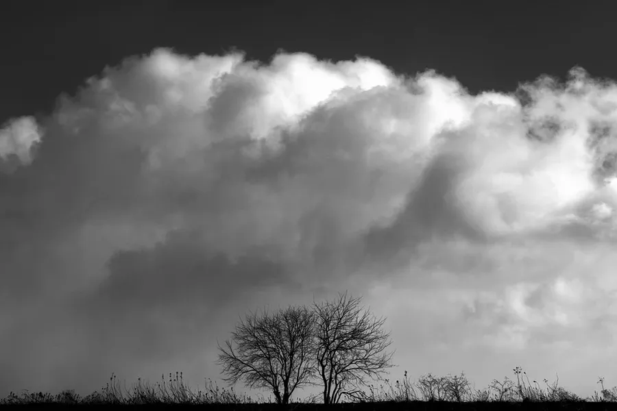 black and white images in lightroom