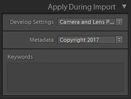 apply during import panel