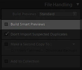 build smart previews in lightroom