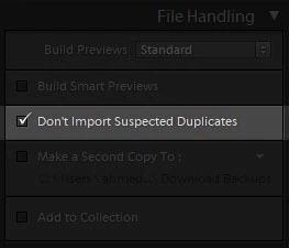 file handling panel in lightroom