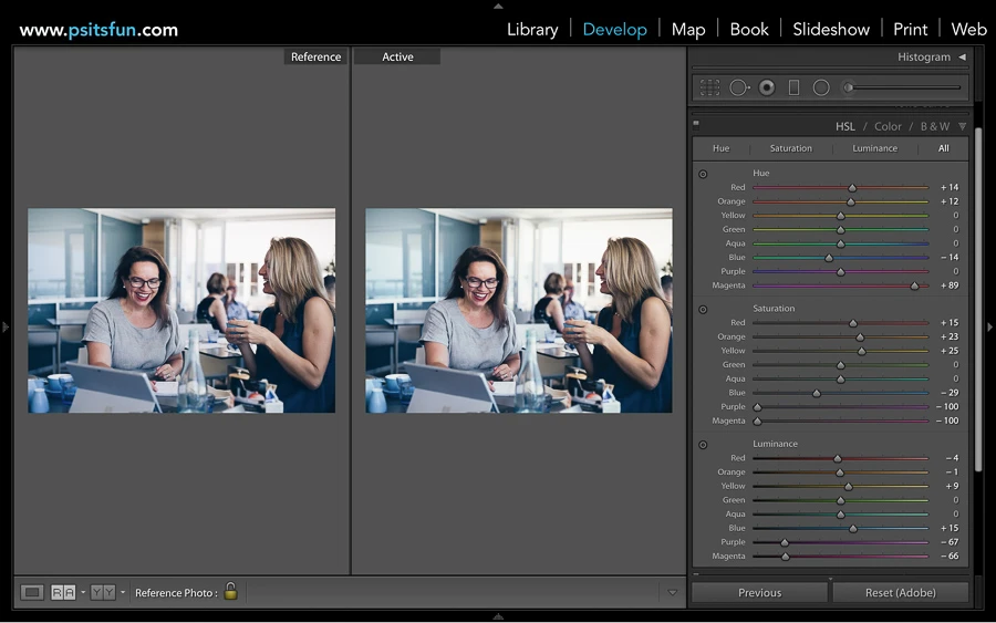 using reference view in lightroom