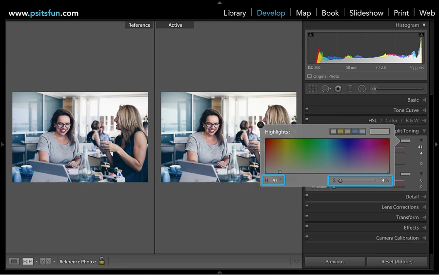 using reference view in lightroom