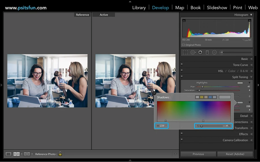 using reference view in lightroom