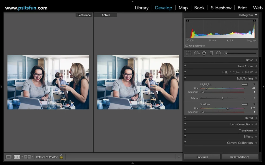 using reference view in lightroom