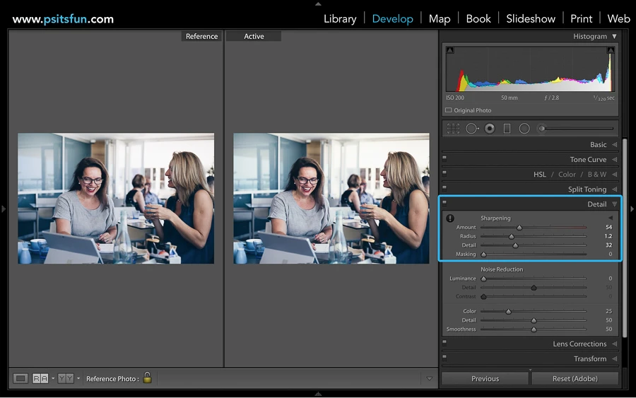 using reference view in lightroom