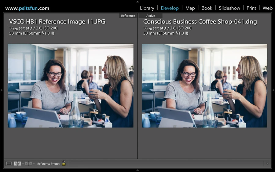 using reference view in lightroom