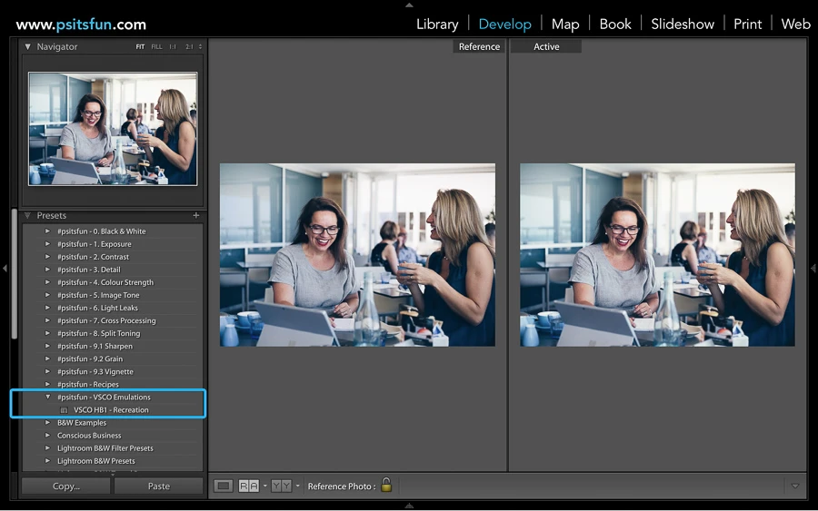using reference view in lightroom