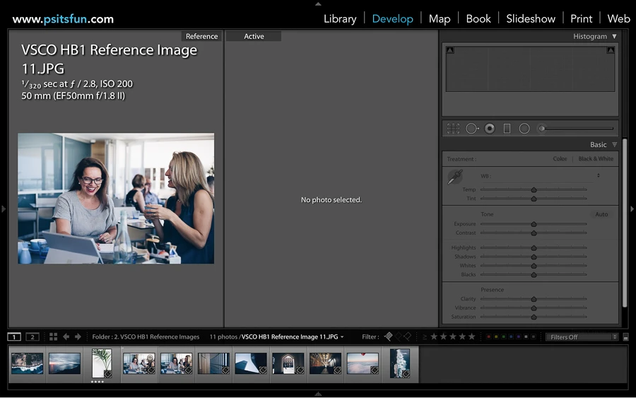 using reference view in lightroom