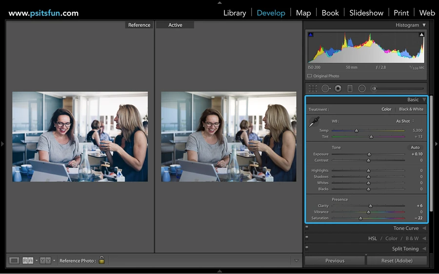 reference view in lightroom