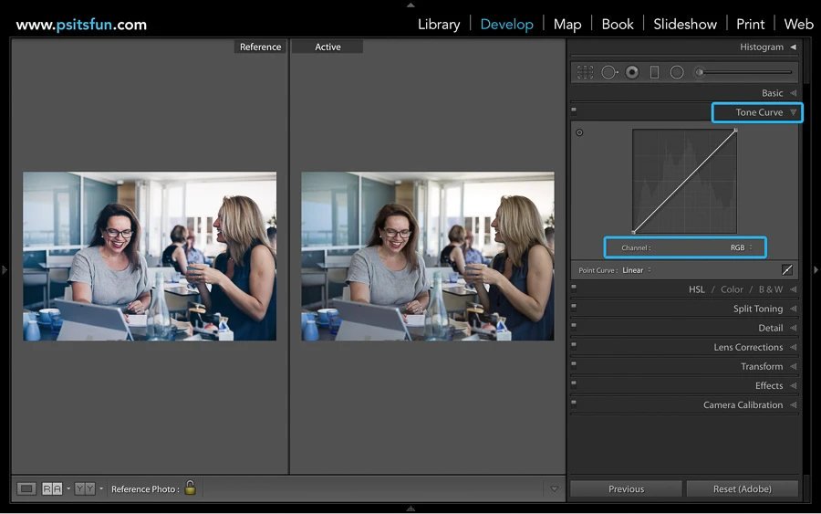 using reference view in lightroom