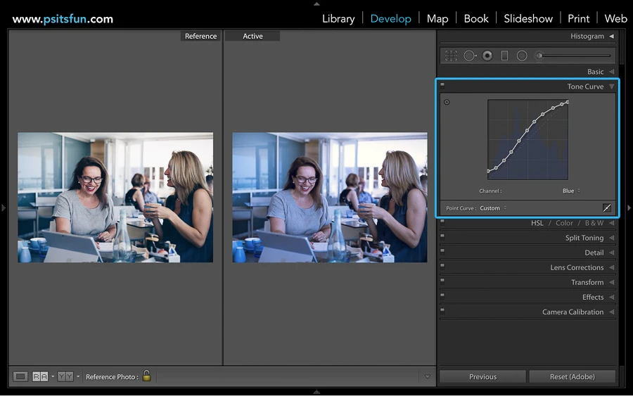 using reference view in lightroom