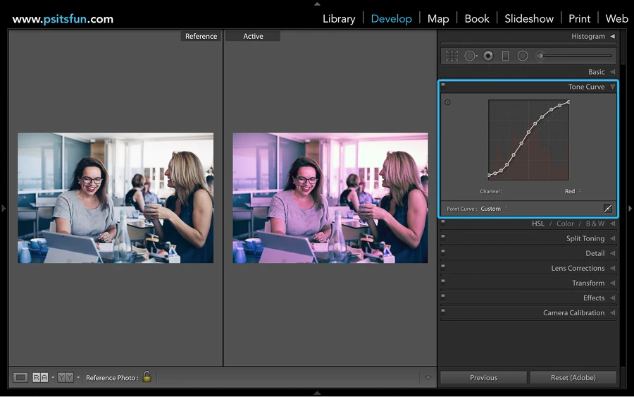 using reference view in lightroom