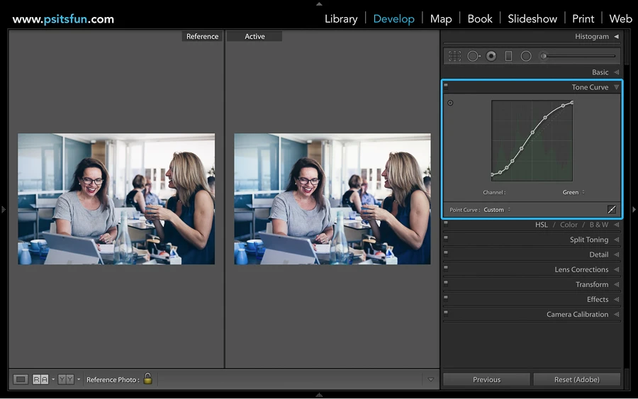 using reference view in lightroom