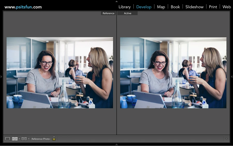 using reference view in lightroom