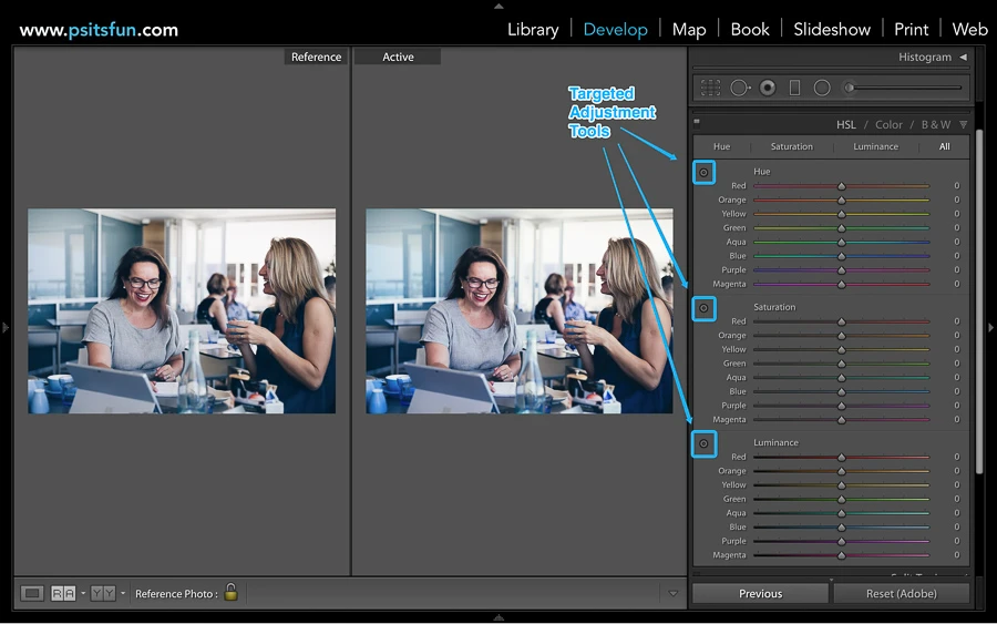 using reference view in lightroom