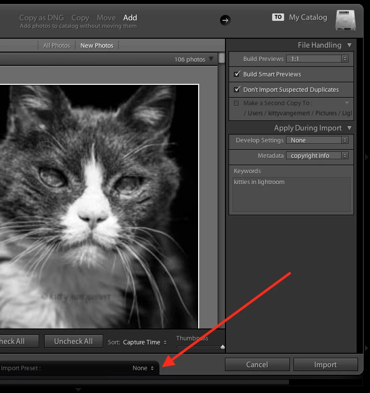 Lightroom presets