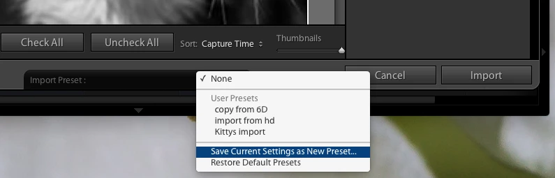 Lightroom presets