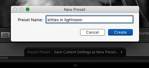 making Lightroom presets