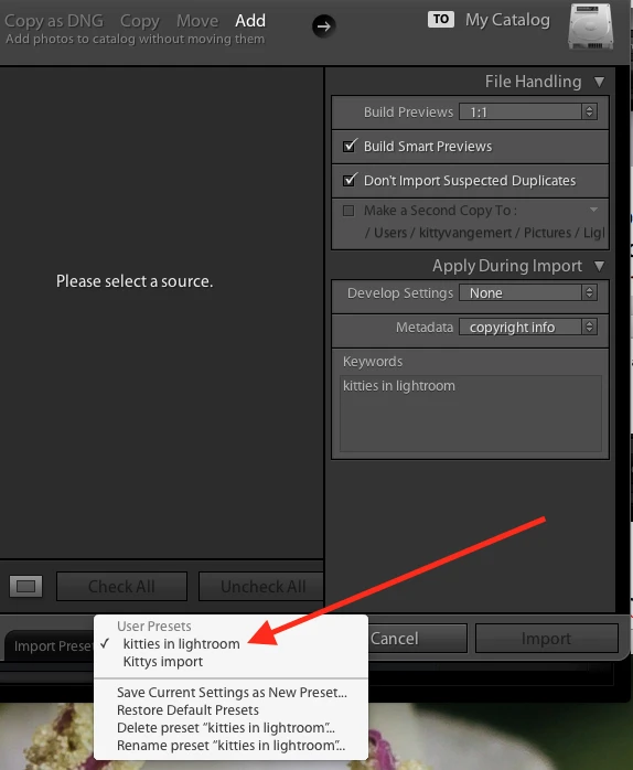 using Lightroom presets