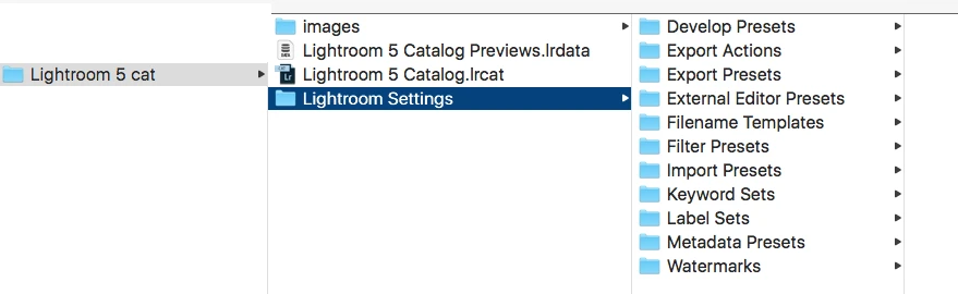 Lightroom presets