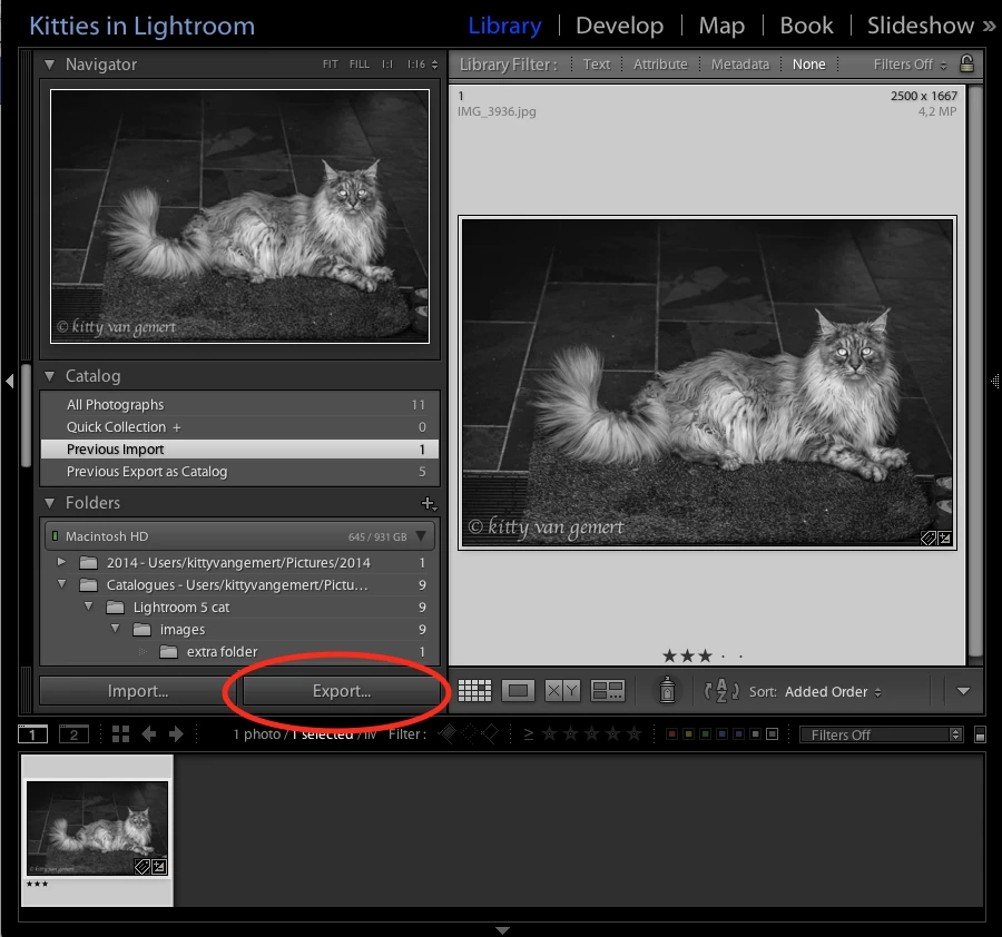 Lightroom presets