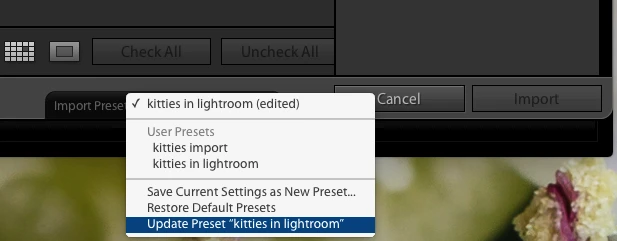 edit Lightroom presets
