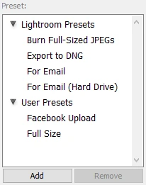 export presets