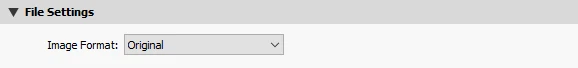 Export in Lightroom