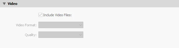 video export in lightroom