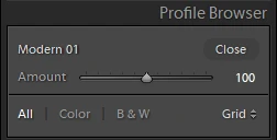 Lightroom Classic 7.3 - Profile Amount
