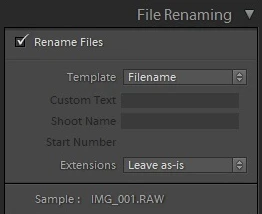 filename templates in Lightroom