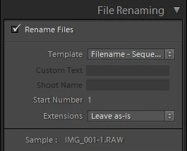 filename templates in Lightroom