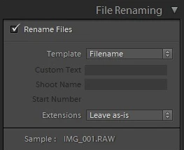 filename templates in Lightroom