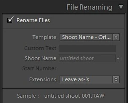 filename templates in Lightroom