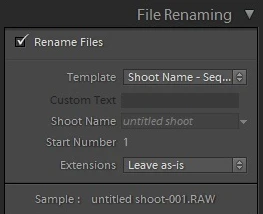 filename templates in Lightroom