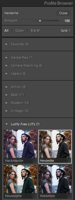 LUTs in Lightroom